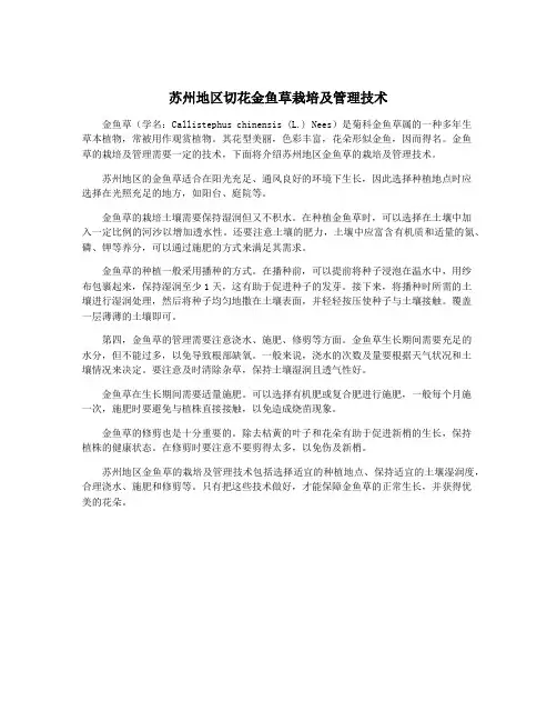 苏州地区切花金鱼草栽培及管理技术