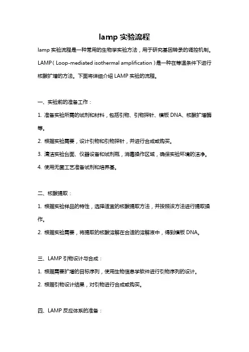 lamp实验流程