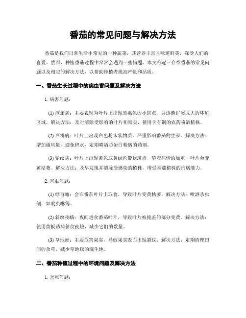 番茄的常见问题与解决方法