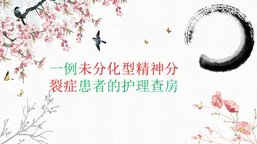 一例未分化型精神分裂症患者的护理查房