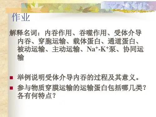 6细胞外基质