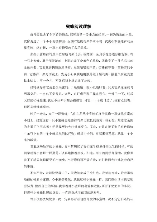 蜜蜂阅读理解