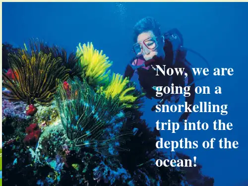 高二英语人教版选修7课件 Unit 3 under the sea Using Language(共31张PPT)