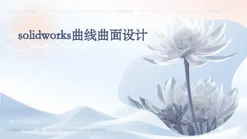 SolidWorks曲线曲面设计