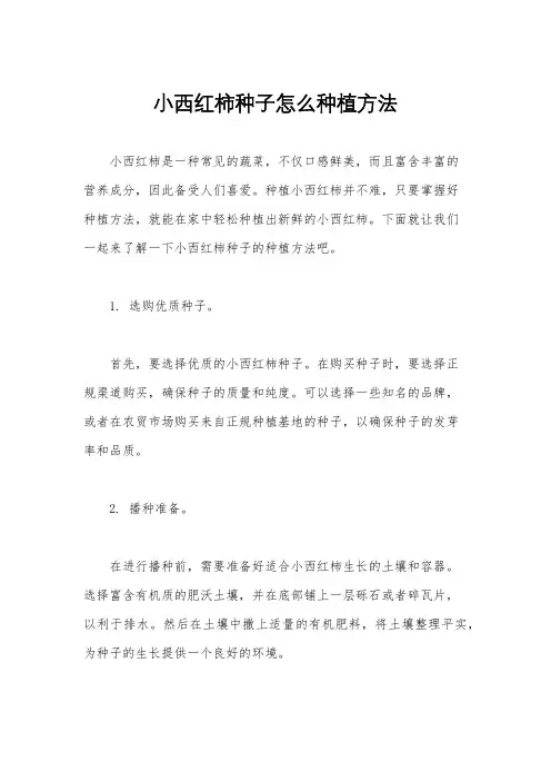 小西红柿种子怎么种植方法