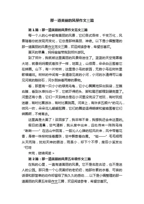 那一道美丽的风景作文三篇