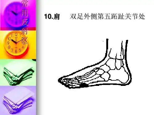 足疗反射区精准定位健尔马推出三完整版课件