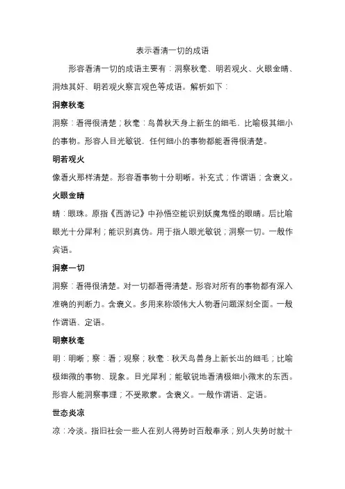 表示看清一切的成语