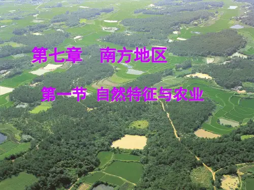 人教八年级下册地理第七章 南方地区》全部课件