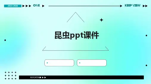 昆虫ppt课件