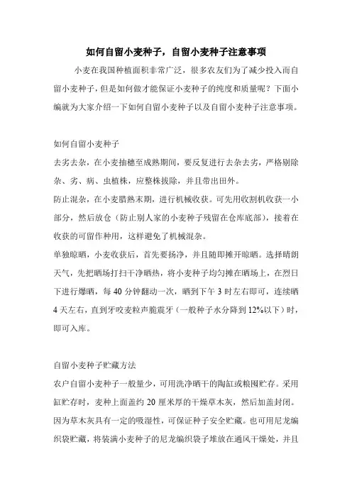 如何自留小麦种子,自留小麦种子注意事项.doc