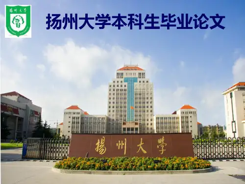 网球论文PPT