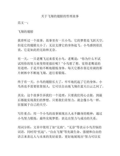 关于飞翔的翅膀的哲理故事