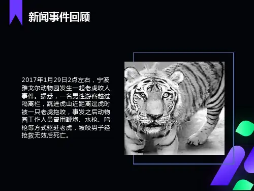 主题班会行为篇自由与规则ppt课件