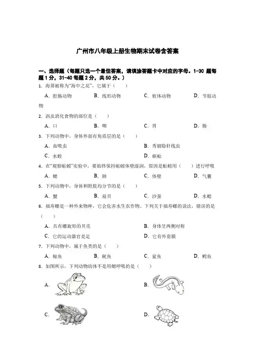 广州市八年级上册生物期末试卷含答案(5份)