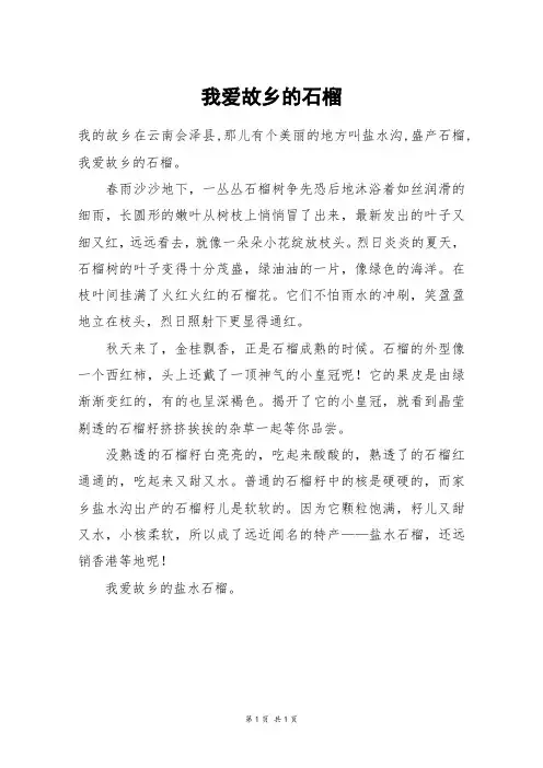 我爱故乡的石榴_四年级作文