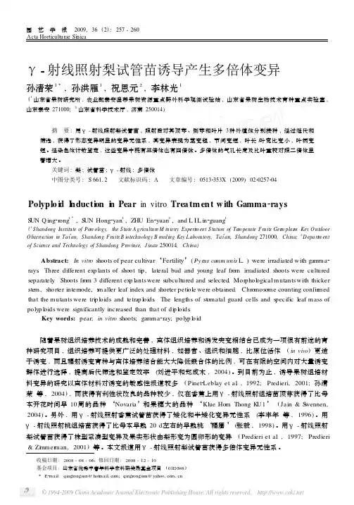 γ-射线照射梨试管苗诱导产生多倍体变异