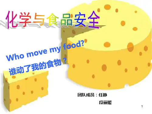 化学与食品安全完整PPT课件