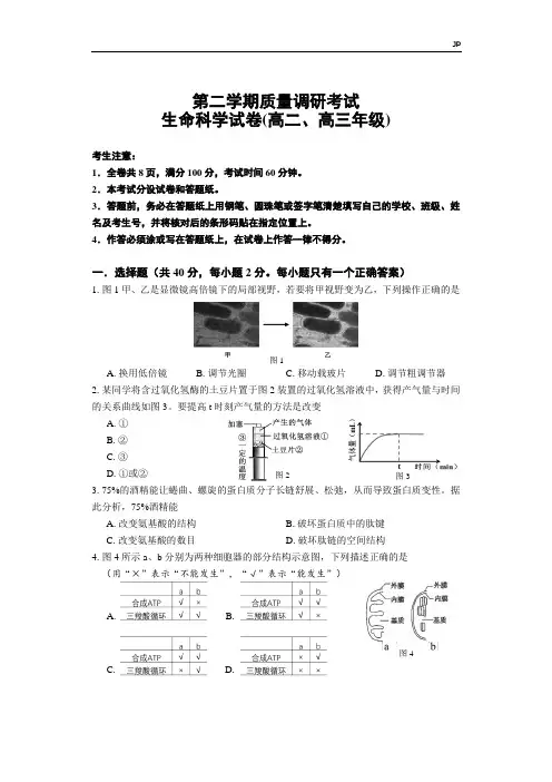 2020年高考生物二模试卷及答案