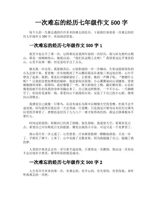 一次难忘的经历七年级作文500字
