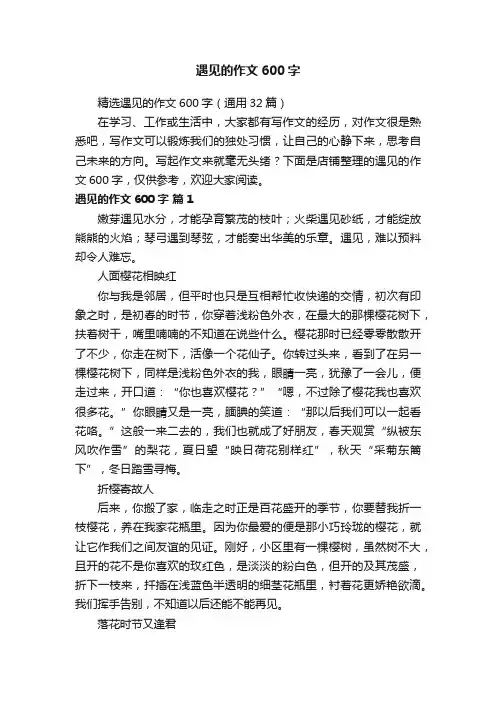 遇见的作文600字