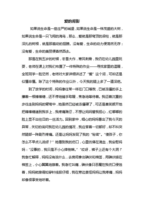 初二作文：爱的背影作文800字