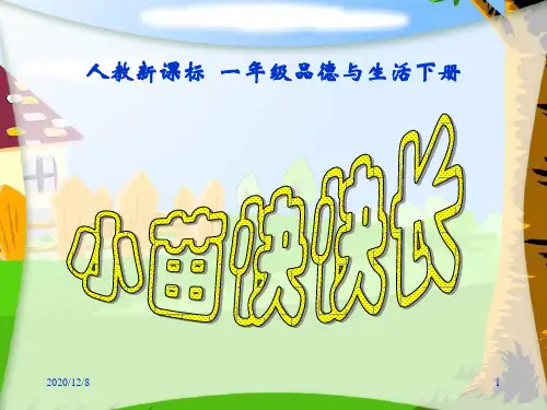 小苗快快长(人教新课标)精品PPT教学课件