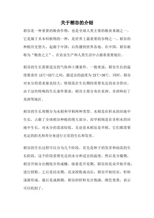 关于稻谷的介绍