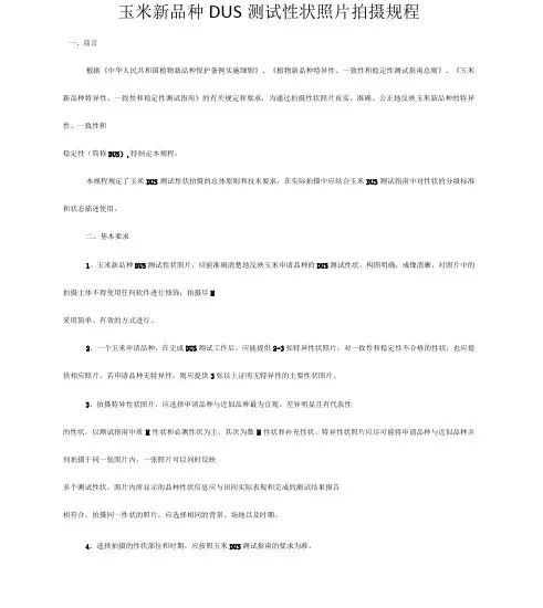 农作物玉米DUS测试性状照片拍摄标准操作