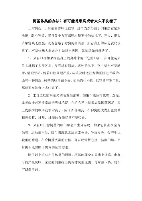 柯基体臭的办法？有可能是患病或者太久不洗澡了