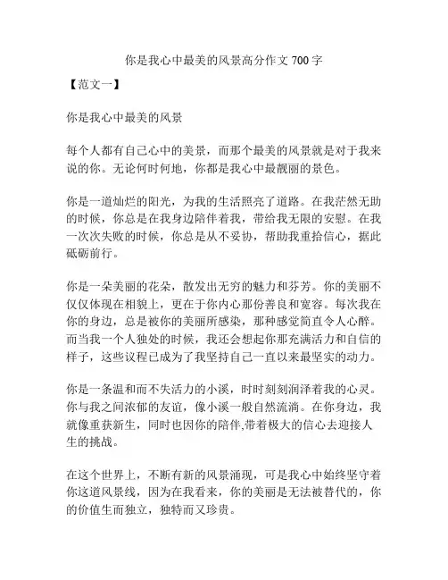 你是我心中最美的风景高分作文700字