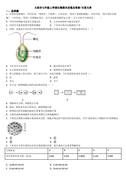 大连市七年级上学期生物期末试卷及答案-百度文库