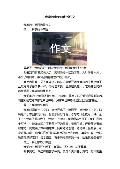 我家的小菜园优秀作文
