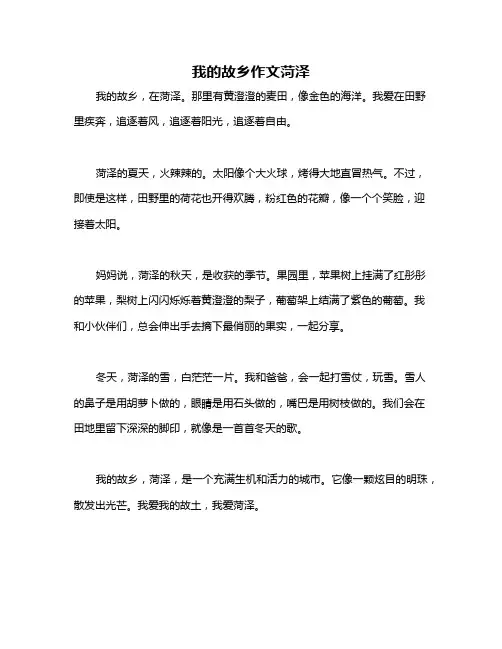 我的故乡作文菏泽