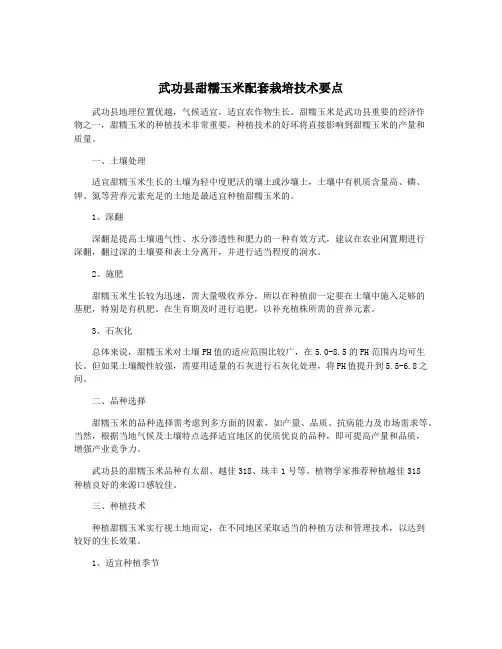 武功县甜糯玉米配套栽培技术要点
