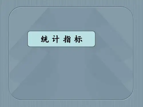 统计指标PPT