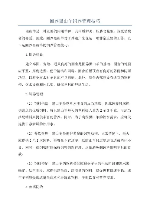 圈养黑山羊饲养管理技巧