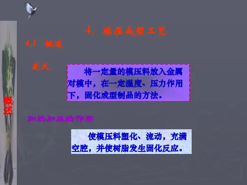模压成型工艺PPT课件