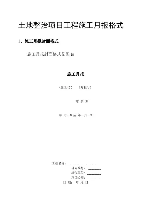 土地整治项目工程施工月报格式