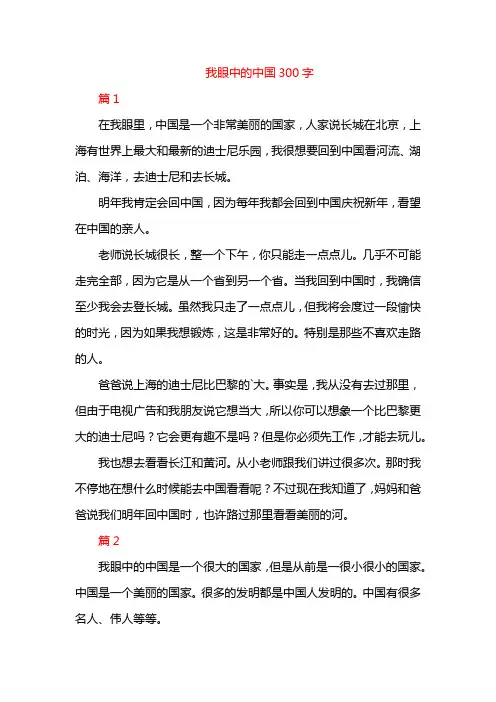 我眼中的中国300字