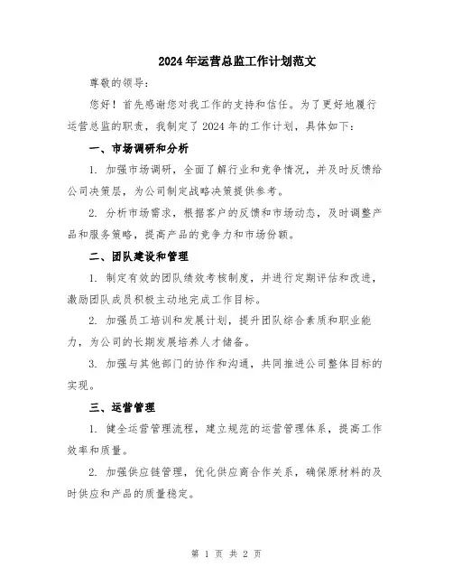 2024年运营总监工作计划范文