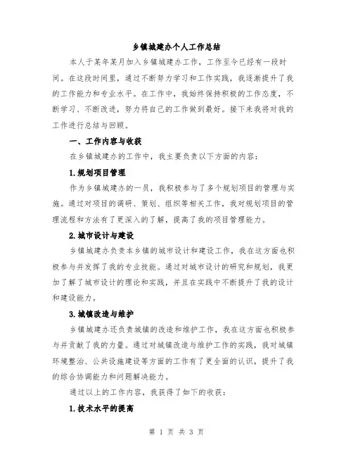 乡镇城建办个人工作总结