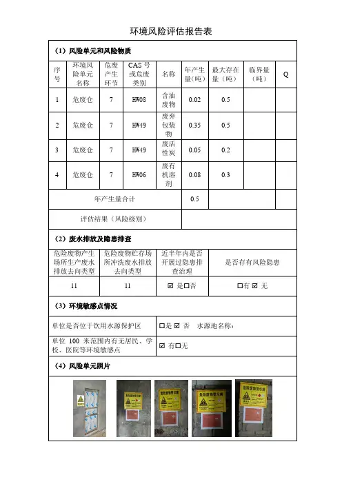 环境风险评估报告表