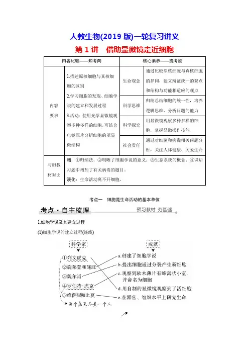 人教生物(2019版)一轮复习讲义：第1讲 借助显微镜走近细胞