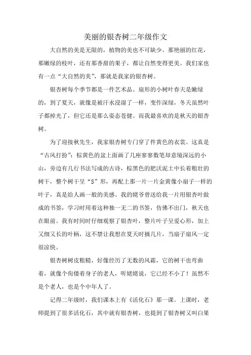 美丽的银杏树二年级作文