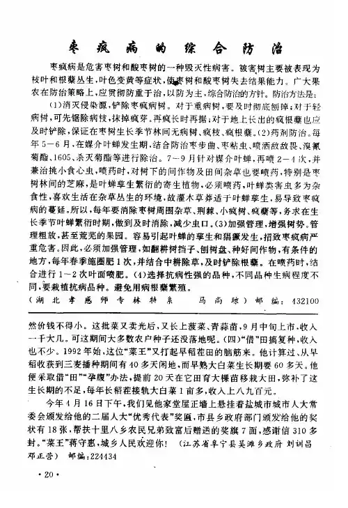 枣疯病的综合防治