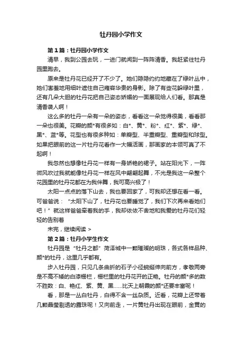 牡丹园小学作文