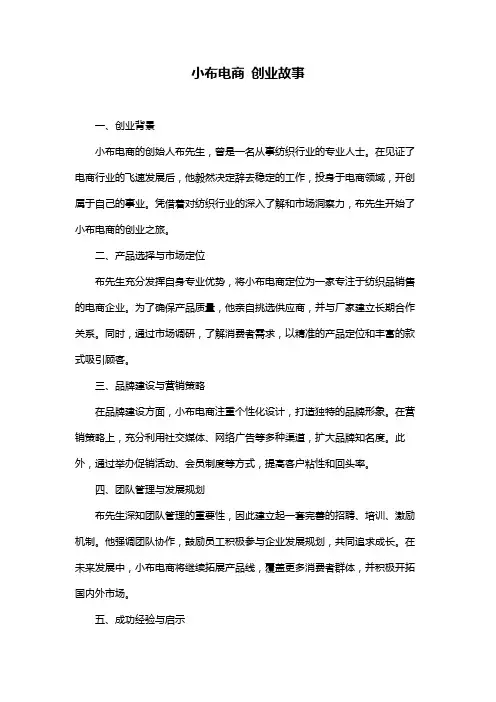 小布电商 创业故事