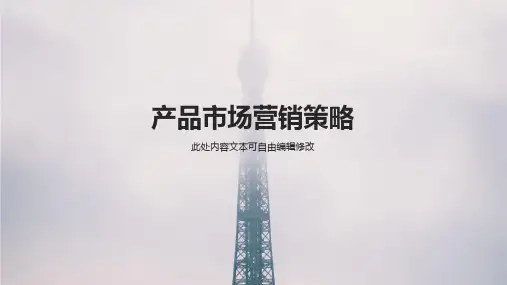产品市场营销策略分析通用PPT模板
