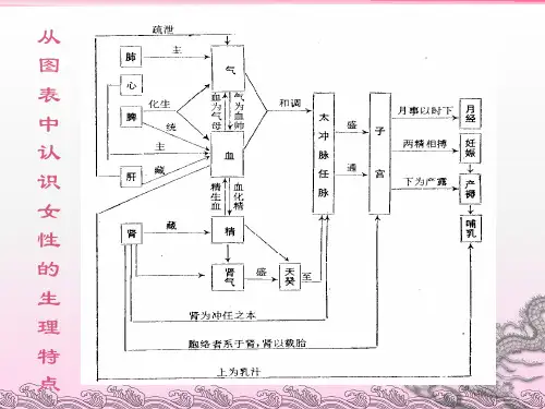 常见妇科疾病PPT医学课件